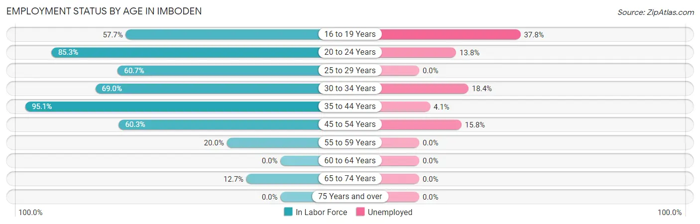 Employment Status by Age in Imboden
