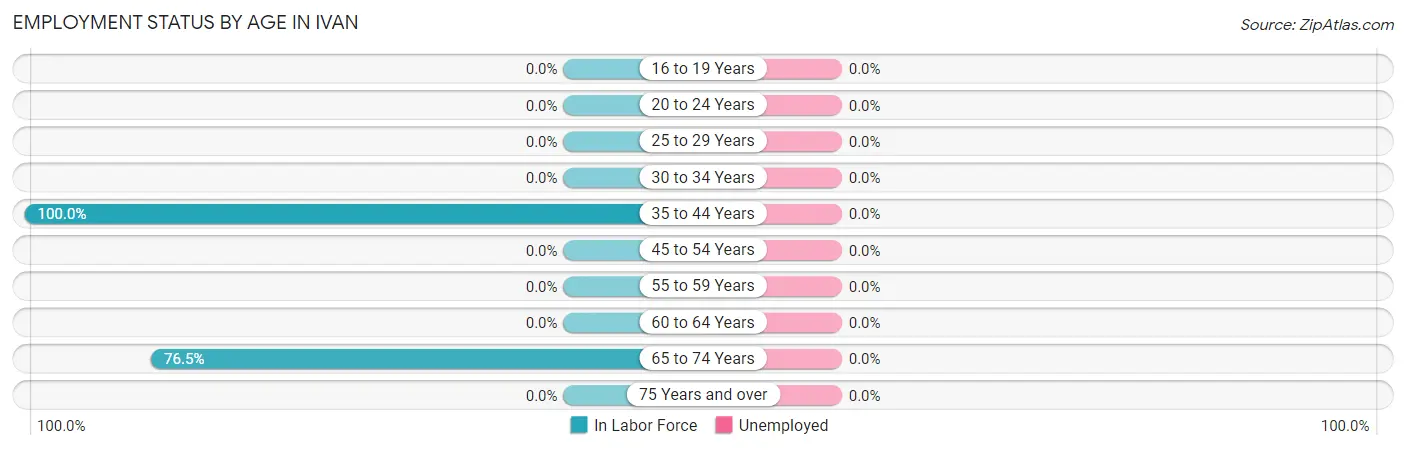 Employment Status by Age in Ivan