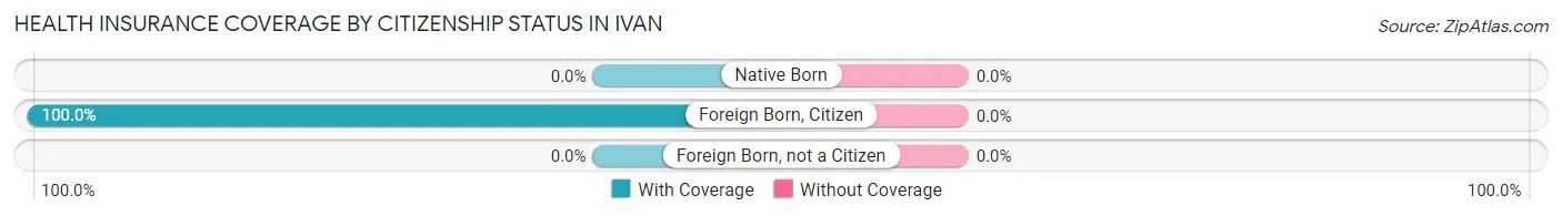 Health Insurance Coverage by Citizenship Status in Ivan
