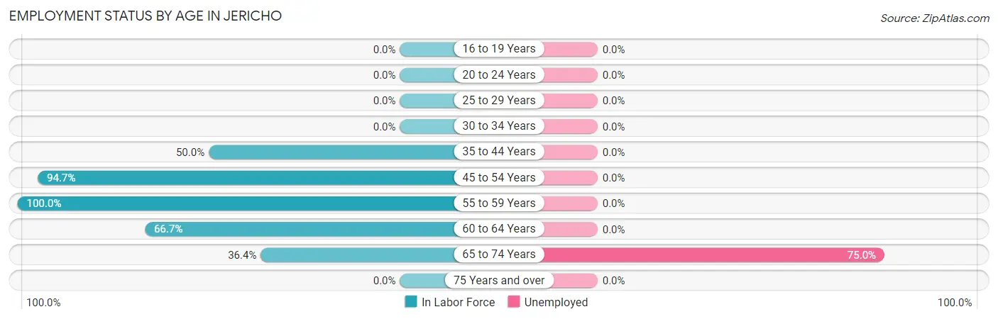 Employment Status by Age in Jericho