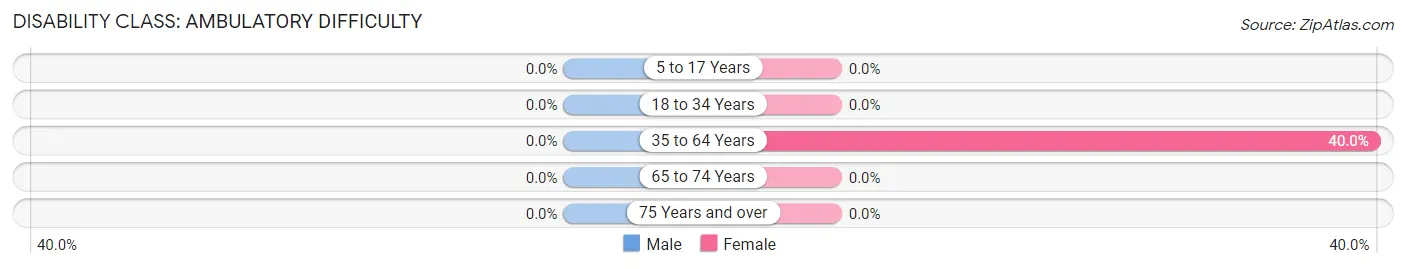 Disability in Jerusalem: <span>Ambulatory Difficulty</span>