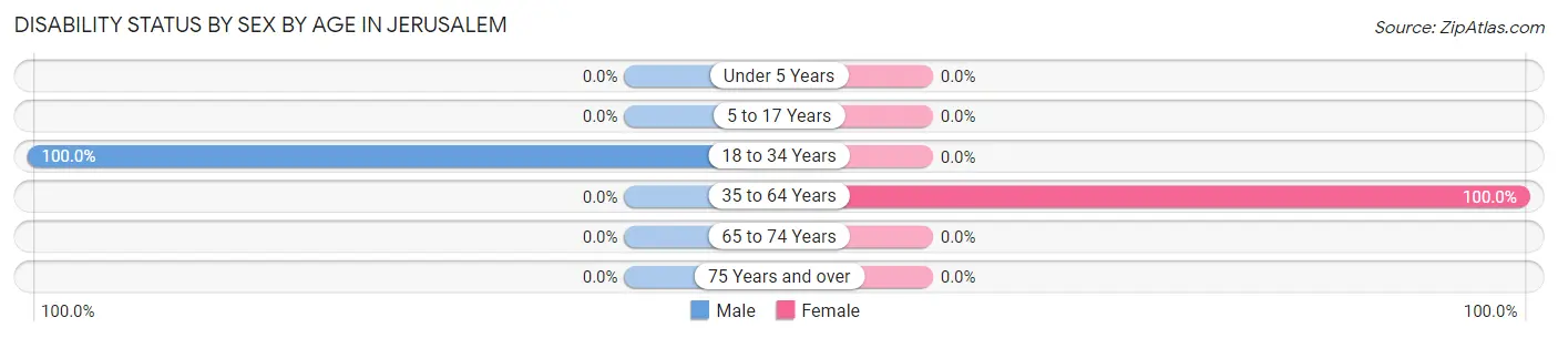 Disability Status by Sex by Age in Jerusalem