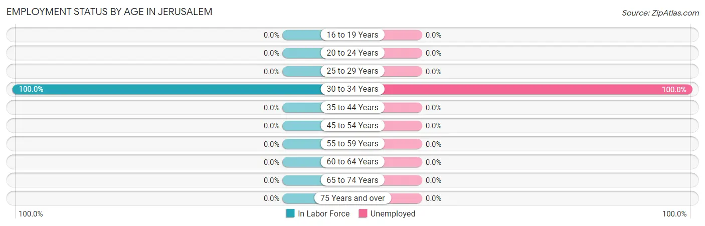 Employment Status by Age in Jerusalem