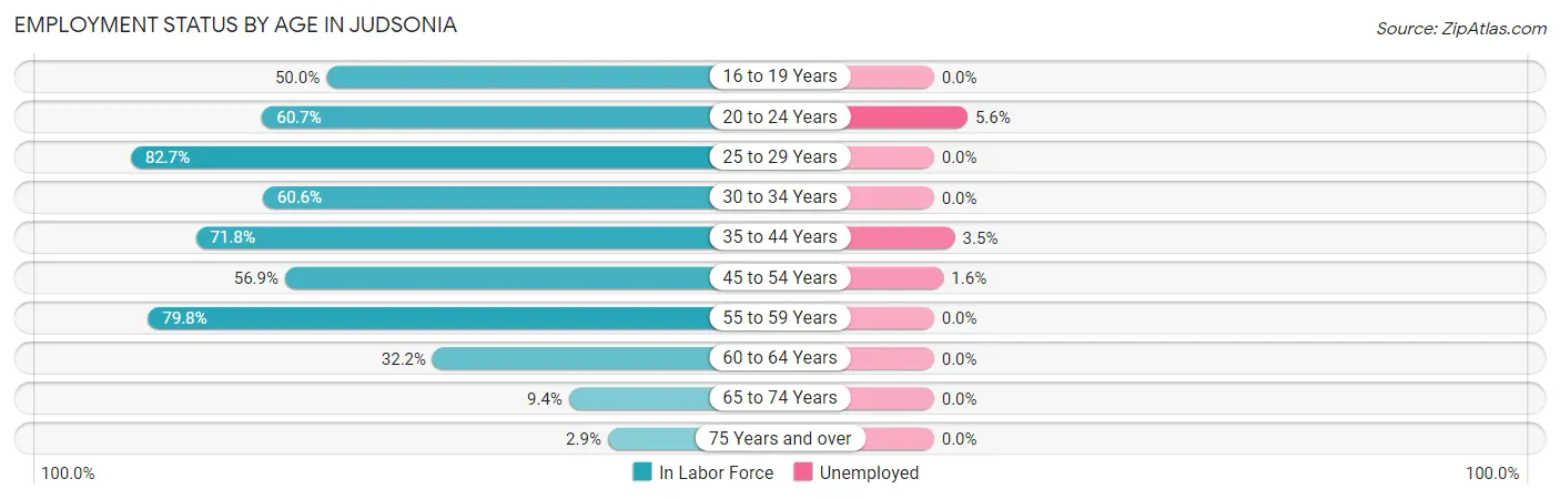 Employment Status by Age in Judsonia