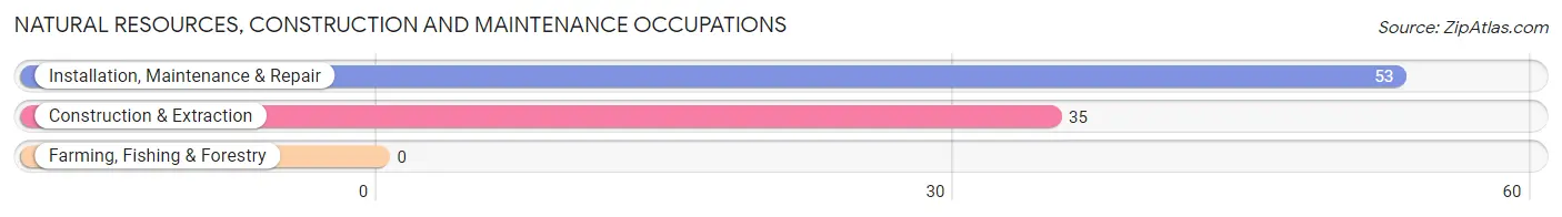 Natural Resources, Construction and Maintenance Occupations in Judsonia