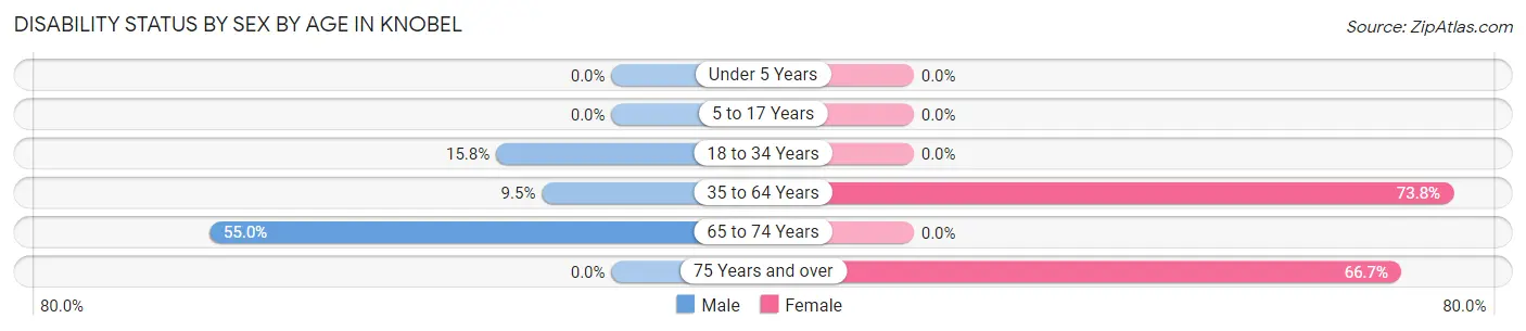Disability Status by Sex by Age in Knobel