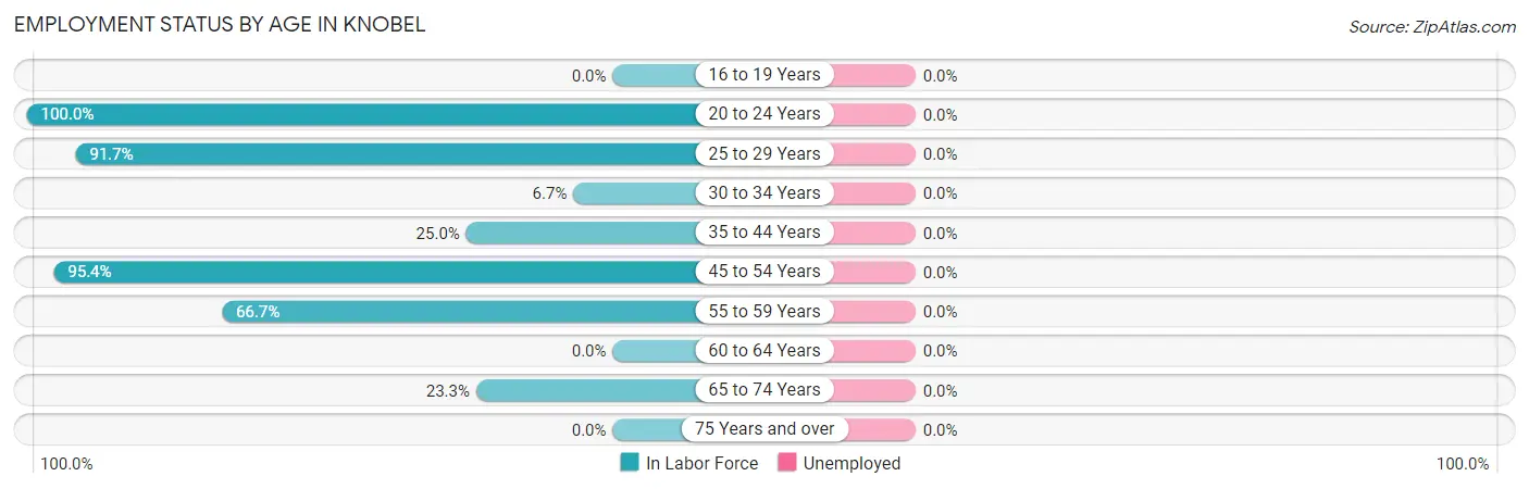 Employment Status by Age in Knobel