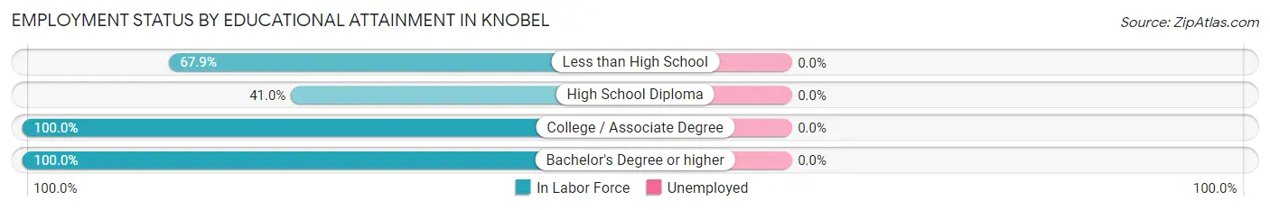 Employment Status by Educational Attainment in Knobel
