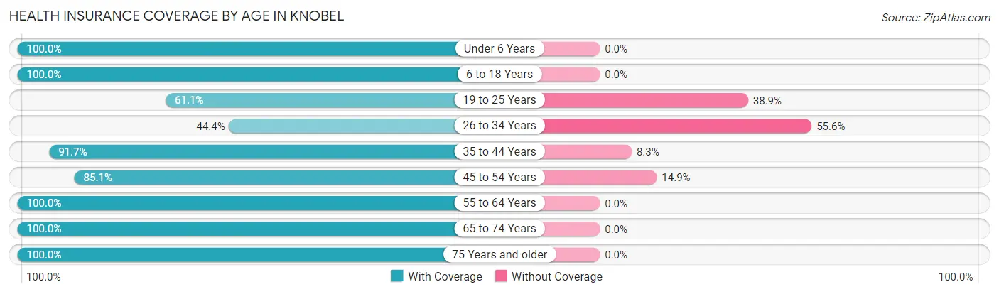 Health Insurance Coverage by Age in Knobel
