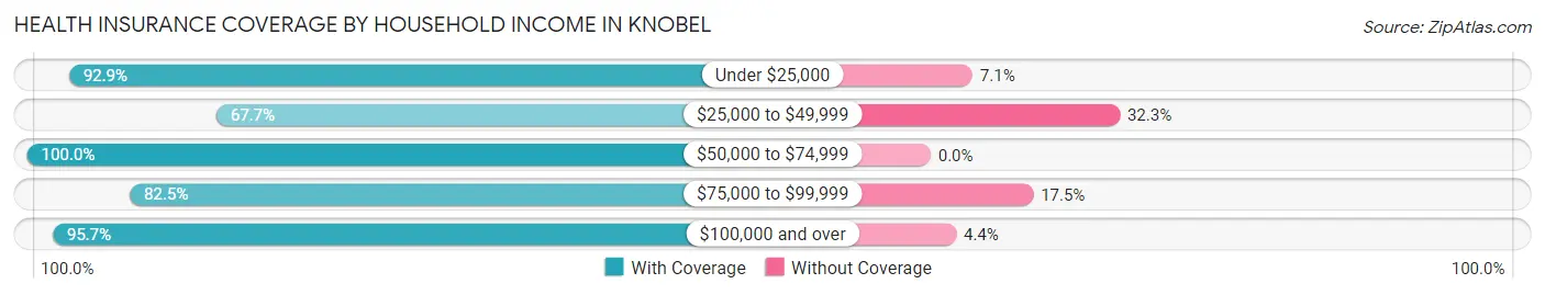 Health Insurance Coverage by Household Income in Knobel