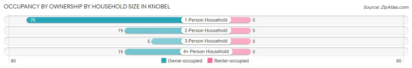 Occupancy by Ownership by Household Size in Knobel