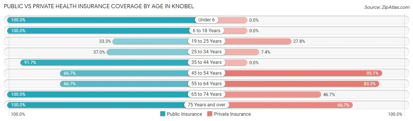 Public vs Private Health Insurance Coverage by Age in Knobel
