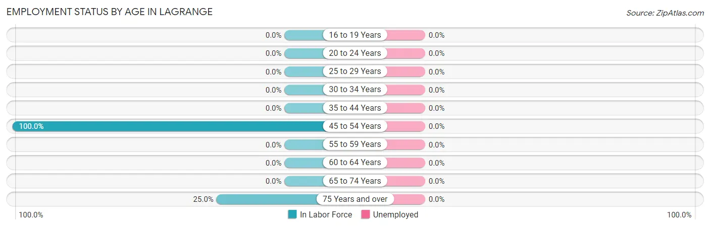 Employment Status by Age in LaGrange