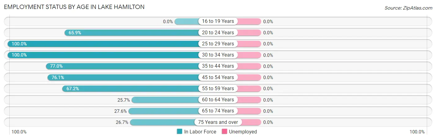 Employment Status by Age in Lake Hamilton