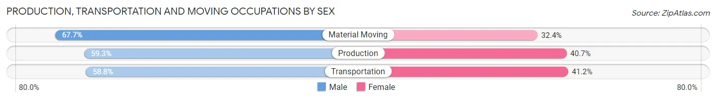 Production, Transportation and Moving Occupations by Sex in Lake Village