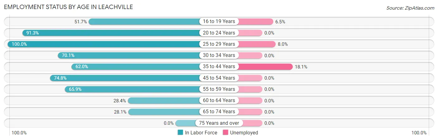 Employment Status by Age in Leachville