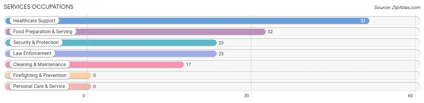 Services Occupations in Lepanto