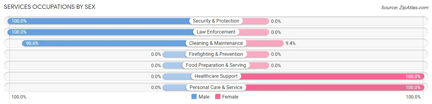 Services Occupations by Sex in Lewisville