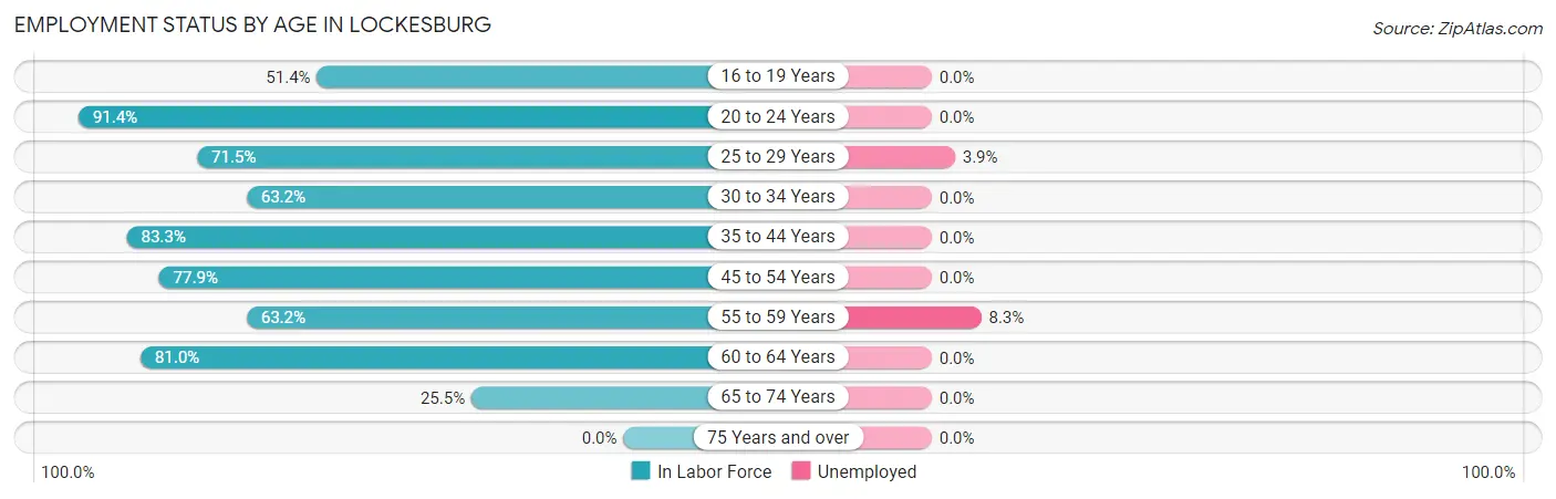 Employment Status by Age in Lockesburg