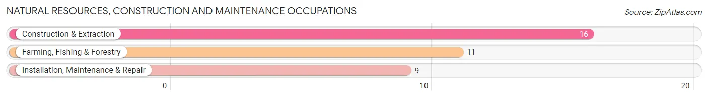 Natural Resources, Construction and Maintenance Occupations in London