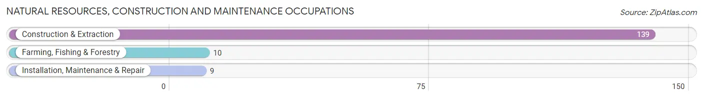 Natural Resources, Construction and Maintenance Occupations in Lonoke