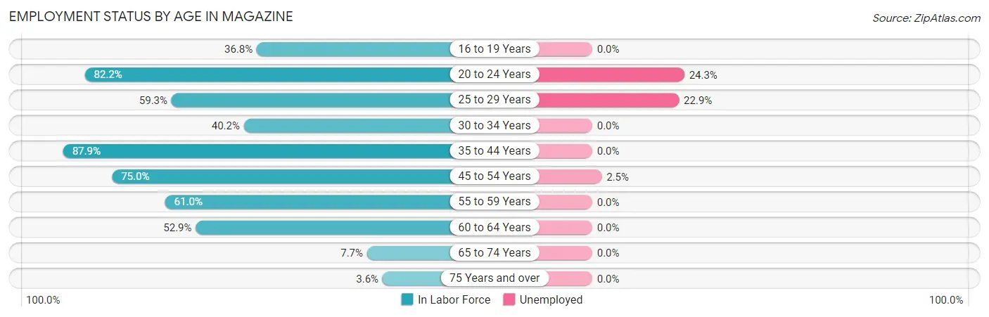 Employment Status by Age in Magazine