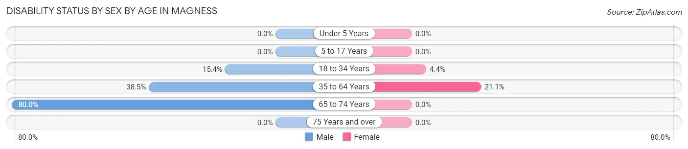 Disability Status by Sex by Age in Magness