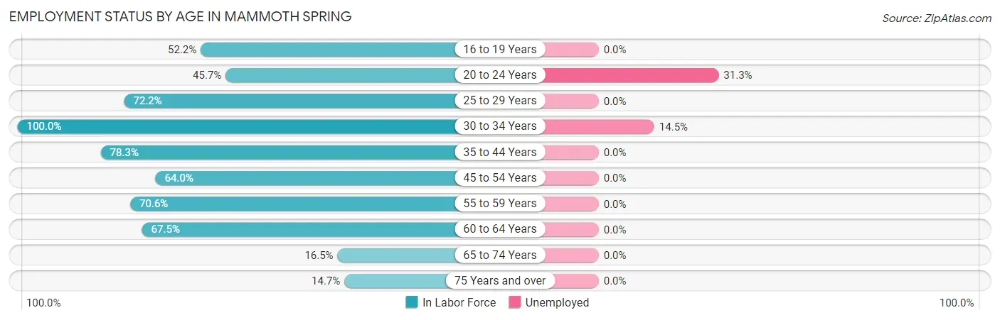 Employment Status by Age in Mammoth Spring