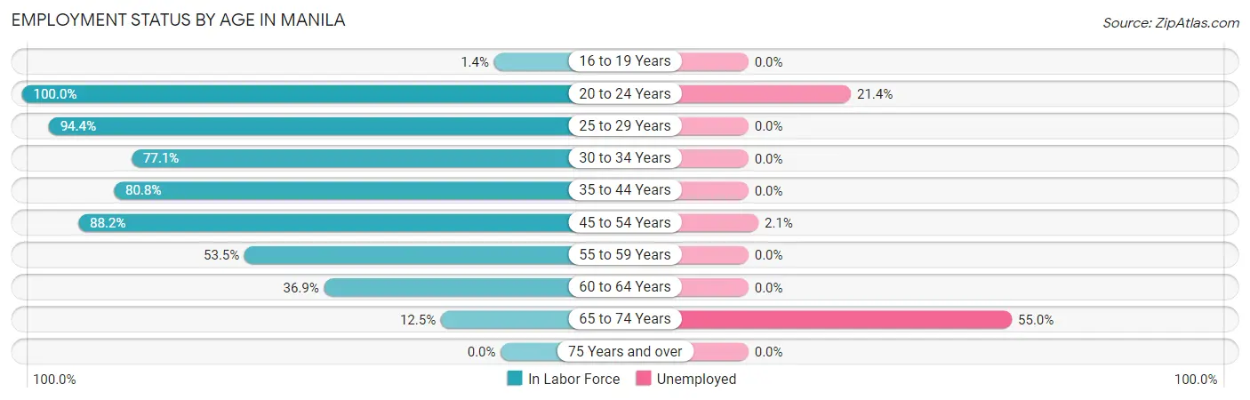 Employment Status by Age in Manila