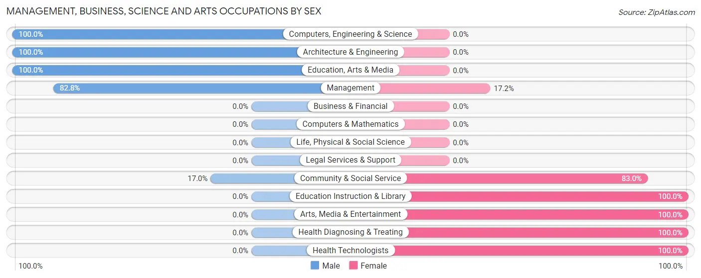 Management, Business, Science and Arts Occupations by Sex in Manila
