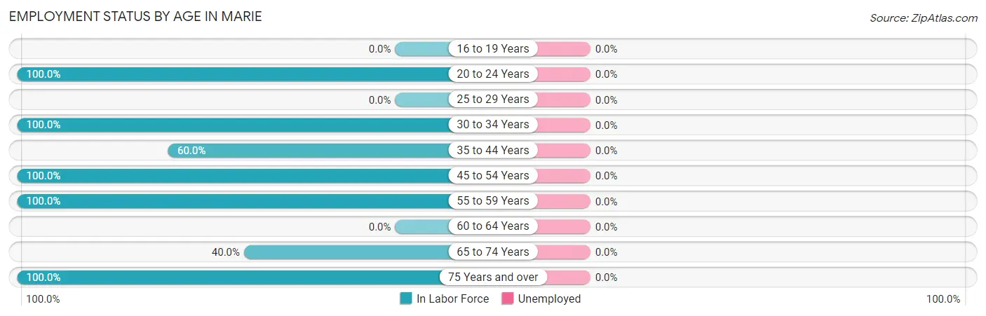 Employment Status by Age in Marie