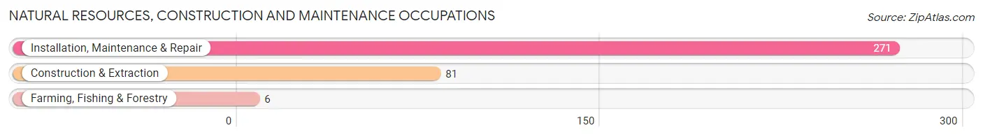 Natural Resources, Construction and Maintenance Occupations in Marion