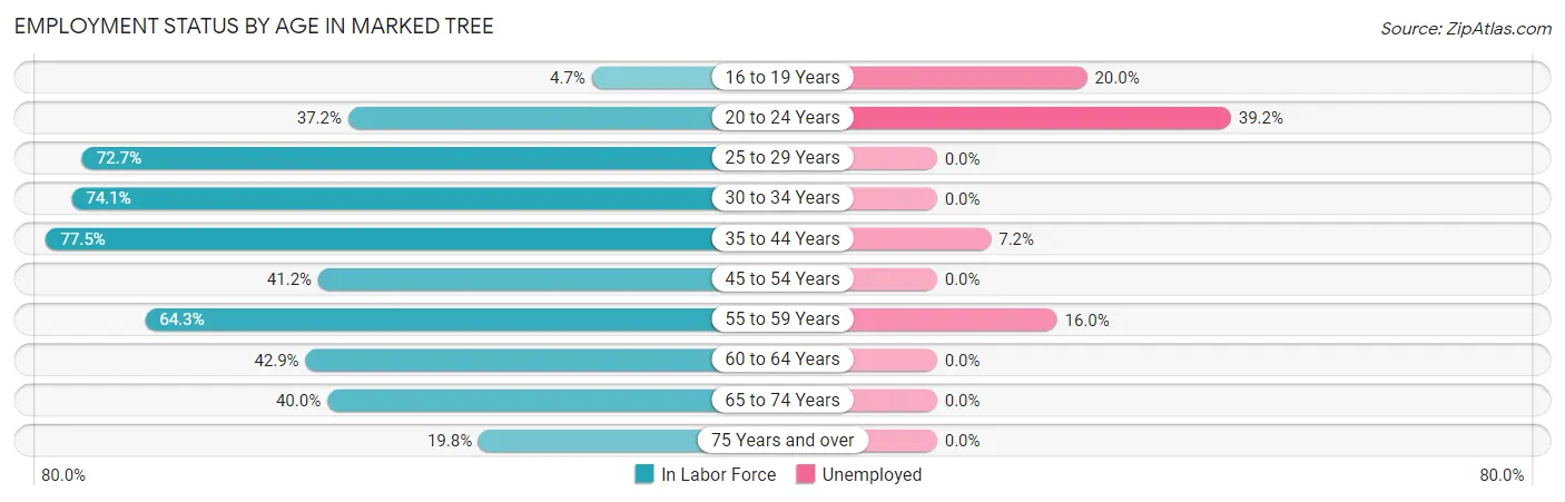 Employment Status by Age in Marked Tree
