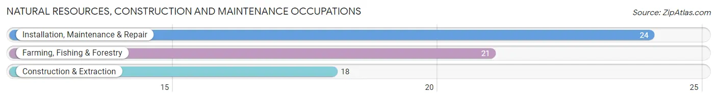 Natural Resources, Construction and Maintenance Occupations in Marked Tree