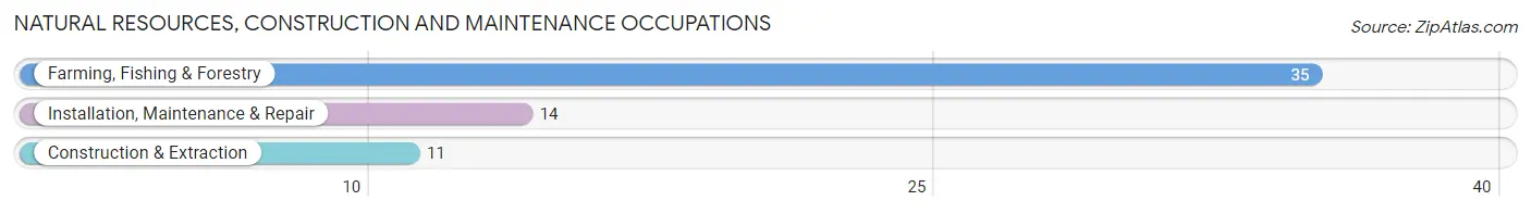 Natural Resources, Construction and Maintenance Occupations in Marmaduke