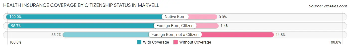 Health Insurance Coverage by Citizenship Status in Marvell