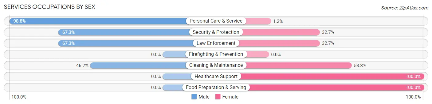 Services Occupations by Sex in McGehee