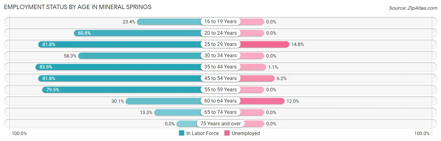 Employment Status by Age in Mineral Springs
