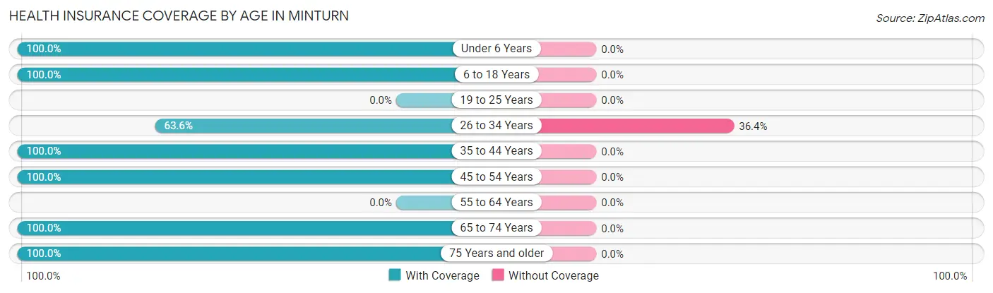 Health Insurance Coverage by Age in Minturn