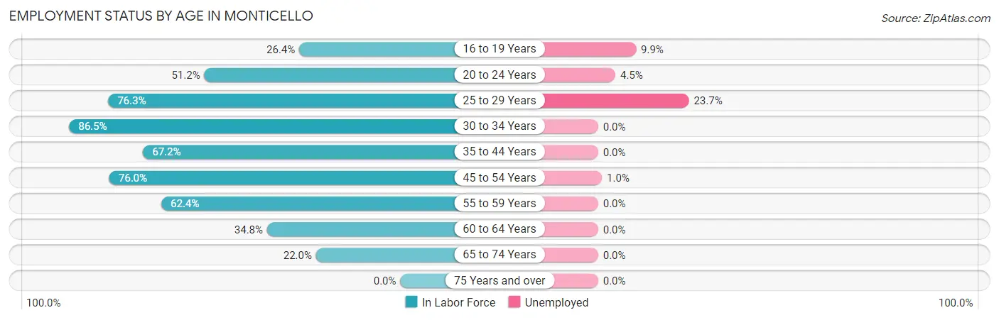 Employment Status by Age in Monticello