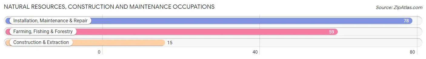 Natural Resources, Construction and Maintenance Occupations in Monticello