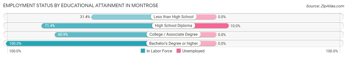 Employment Status by Educational Attainment in Montrose