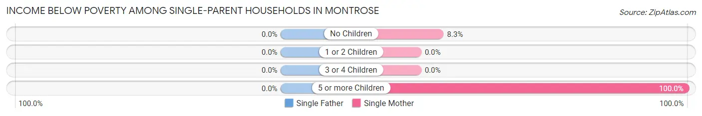 Income Below Poverty Among Single-Parent Households in Montrose