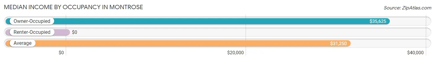 Median Income by Occupancy in Montrose