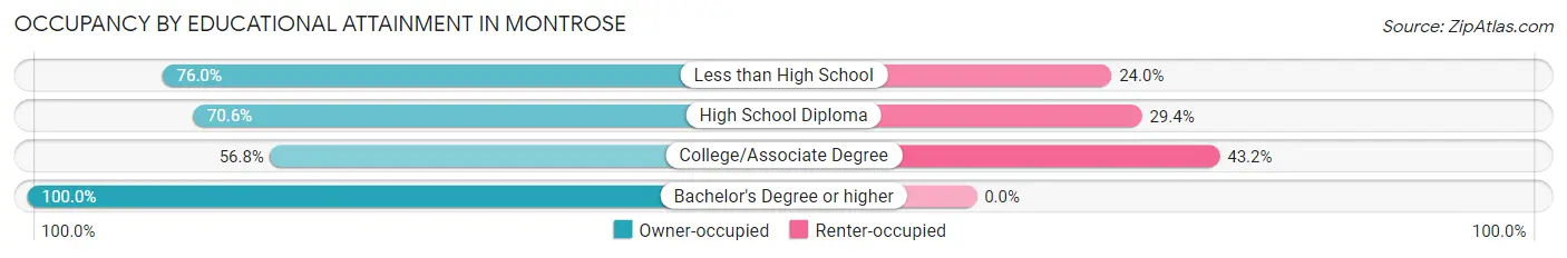 Occupancy by Educational Attainment in Montrose