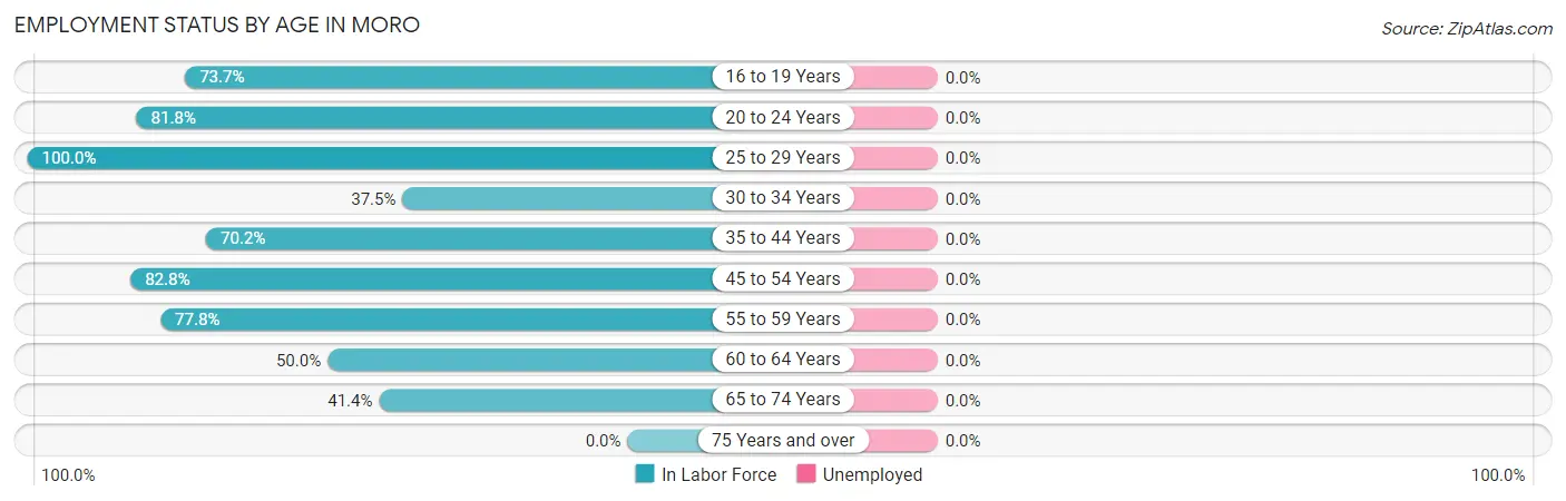 Employment Status by Age in Moro