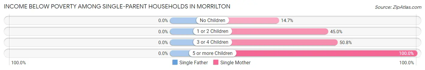 Income Below Poverty Among Single-Parent Households in Morrilton
