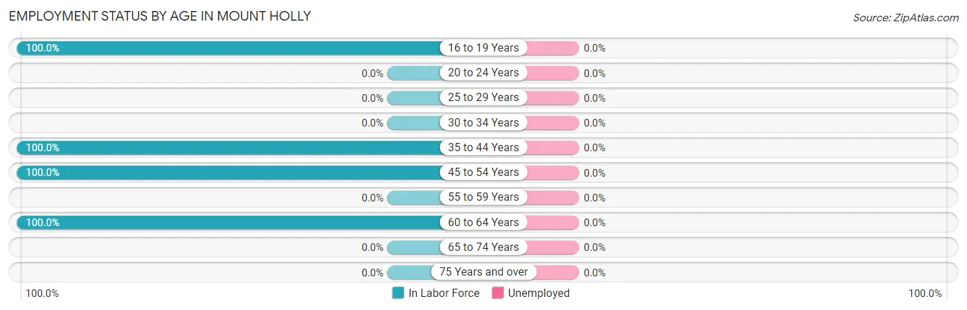 Employment Status by Age in Mount Holly