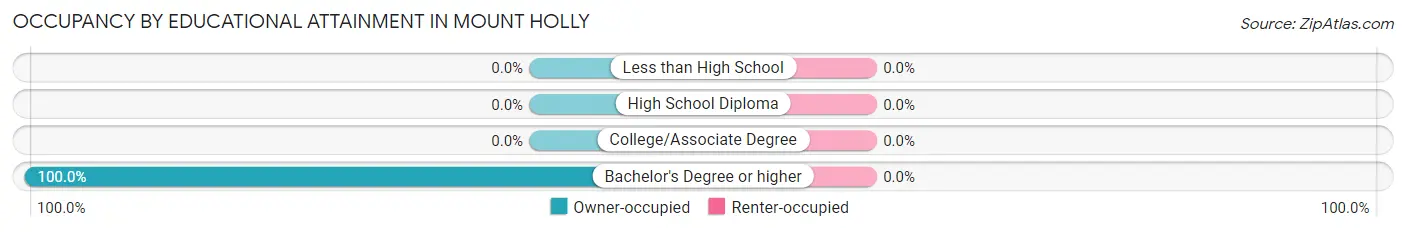 Occupancy by Educational Attainment in Mount Holly