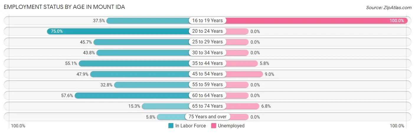 Employment Status by Age in Mount Ida